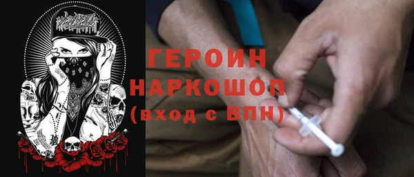 хмурый Алексин