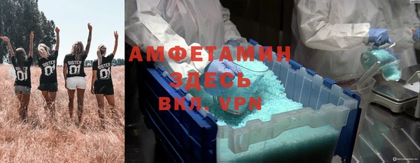 хмурый Алексин