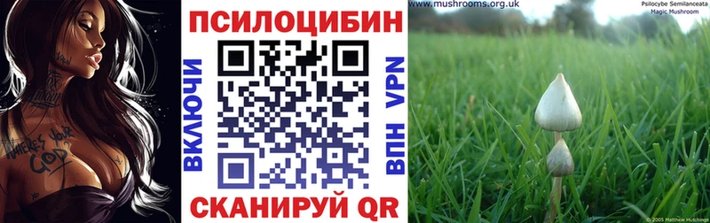 Псилоцибиновые грибы прущие грибы  Жиздра 